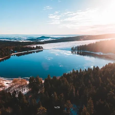 Avenue Republique La Aux Pieds Des Volcans Au Calme *