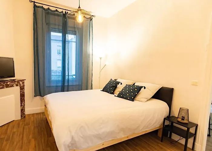 Avenue Republique La Aux Pieds Des Volcans Au Calme Clermont-Ferrand